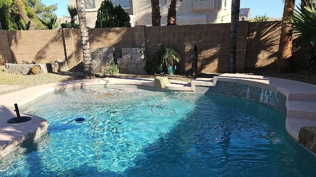Backyard swimming pool with curved edge, clear blue water, and tan stone coping against a block wall. Palm trees rise in the background.