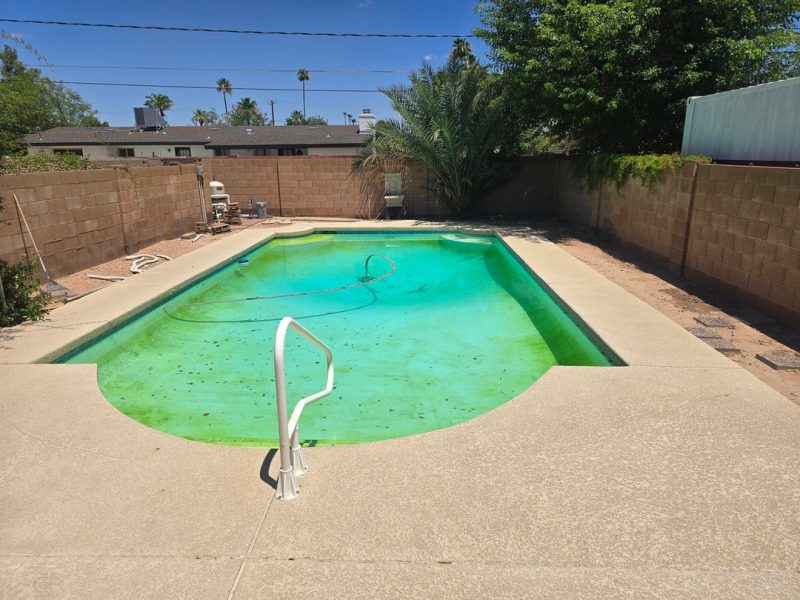 Green to clean pool service in Gilbert, AZ - algae-filled green pool before recovery by Blue Lagoon Pool Management